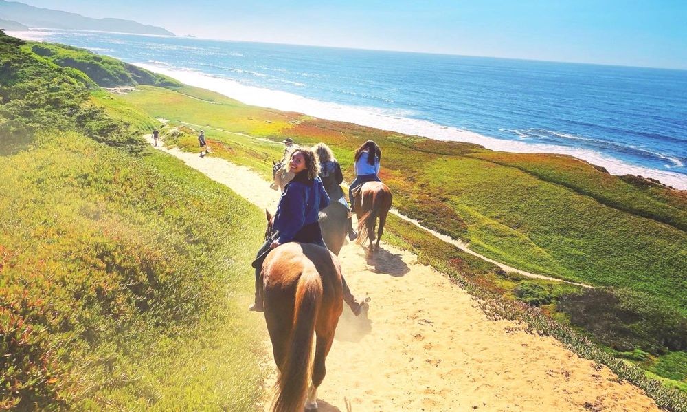 Ocean View Stables